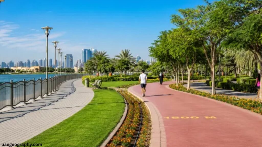 What to Do at Al Quoz Pond Park Dubai Facilities and Activities