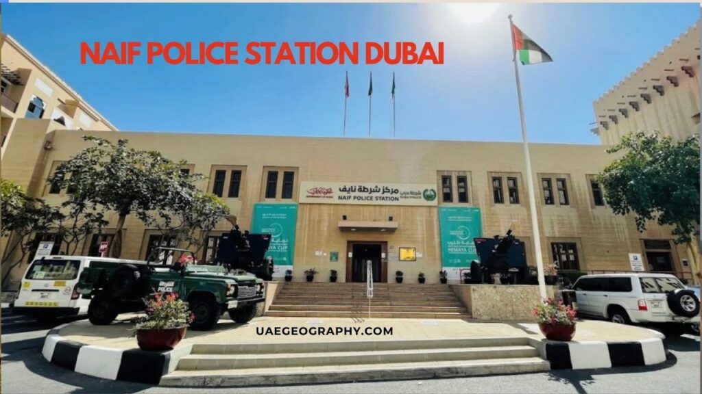 Naif Police Station Dubai: A Complete Guide to Location And Services Naif Police Station Dubai A Complete Guide to Location And Services