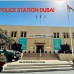Abu Dhabi to Sharjah Bus: Route, Schedules, Tips, and More
