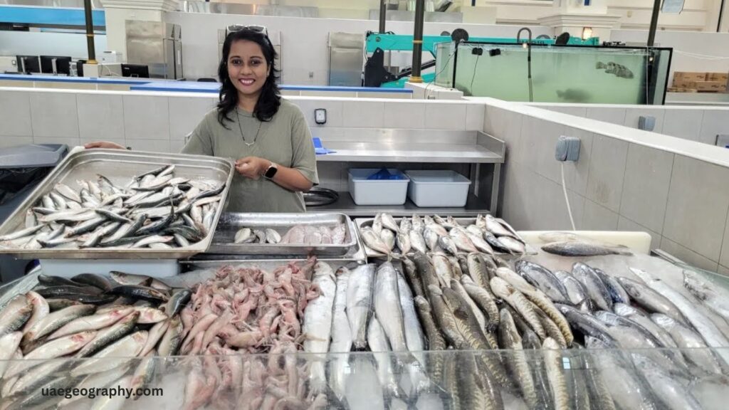 Fujairah Fish Market is Worth Visiting