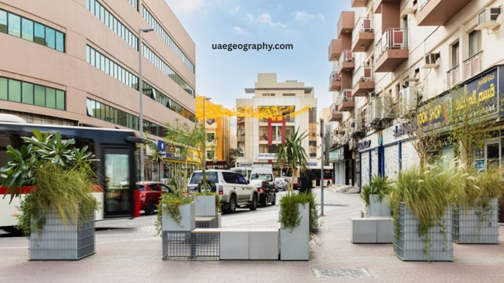 Satwa Area Attractions and Activities