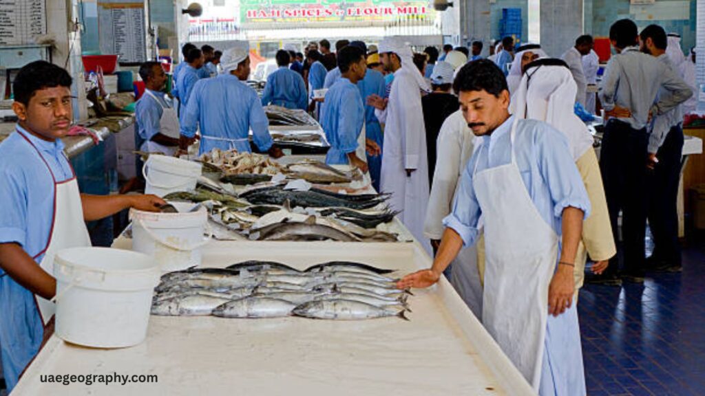 The Market Experience Fujairah Fish Market Daily Life