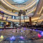 Al Mankhool Park Dubai: Everything You Should Know About Your Dream Urban Oasis (2026)