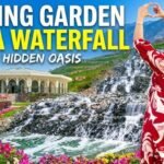 Carrefour City Centre Mirdif Dubai: Timings, Location, Offers & Everything You Need to Know (2026)