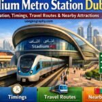 Mafraq Traffic Department Abu Dhabi: Complete 2026 Guide to Services, Timings & Fine Payment