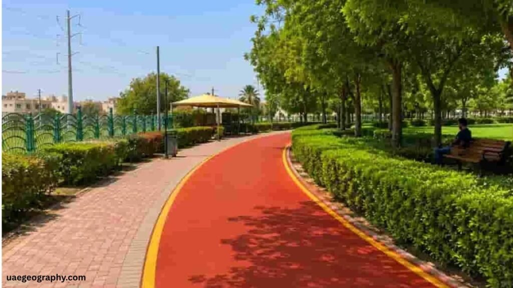 Top Attractions and Landmarks Near Stadium Metro Station Dubai