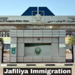 Ajman to Dubai Bus Station Guide 2026: Routes, Fares & Timings